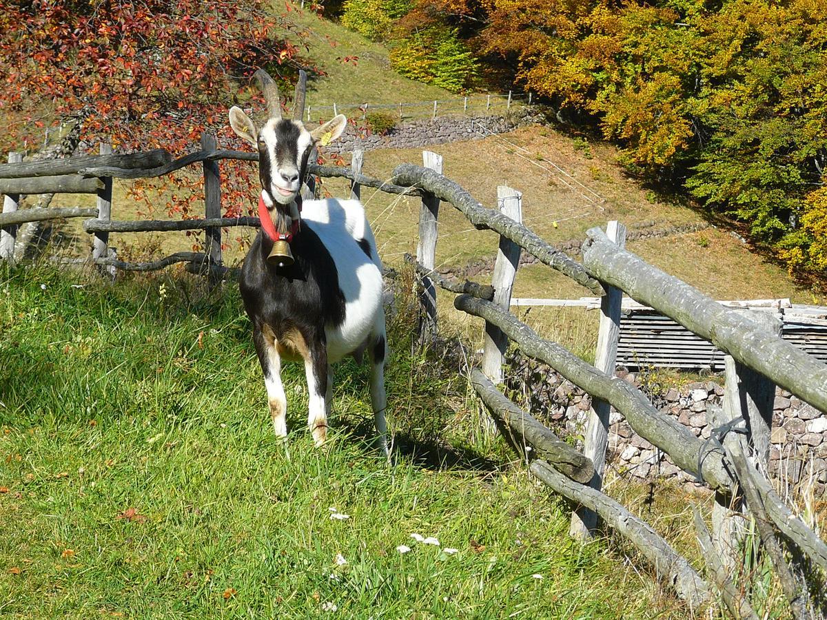 Willa Baita Cavecia Sant'Orsola Zewnętrze zdjęcie